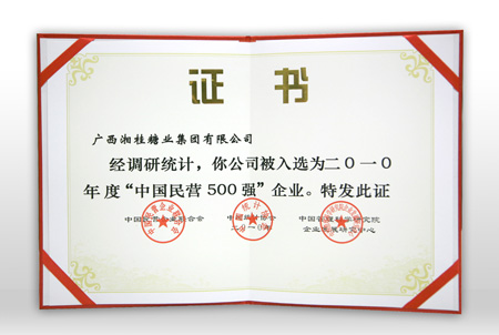 中國(guó)民營(yíng)企業(yè)500強(qiáng)證書(shū)